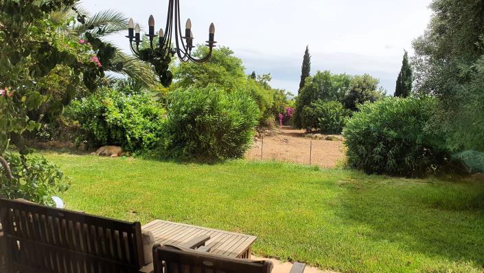 Image No.9-8 Bed Mansion for sale