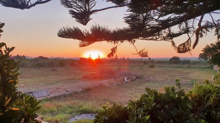 Image No.41-8 Bed Mansion for sale