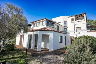 IMG_6671---Copia---Copia