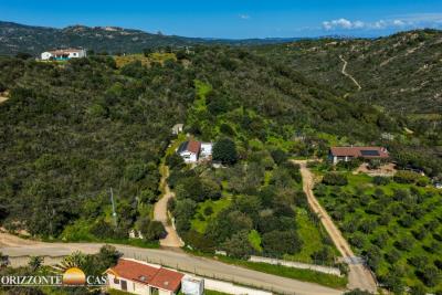 DJI_20260327103838_0010_D