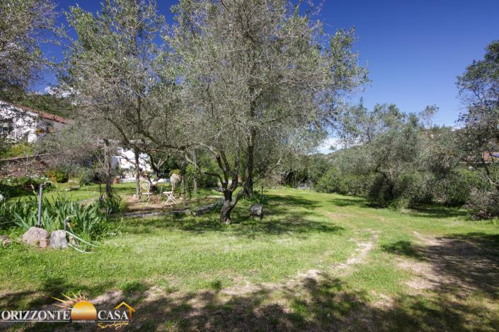 Image No.10-4 Bed Country House for sale