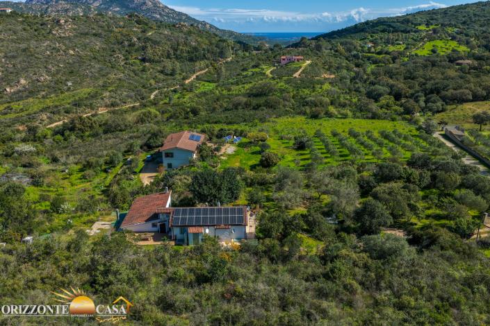 Image No.4-4 Bed Country House for sale