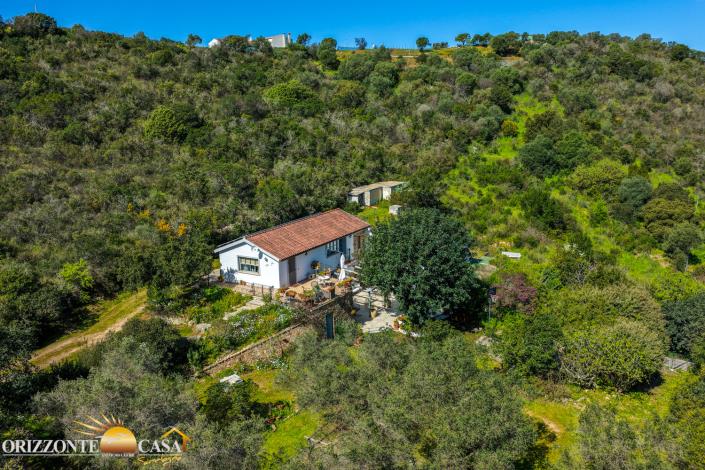 Image No.5-4 Bed Country House for sale