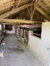 492004418_1245659640892602_6428026496785070578_n