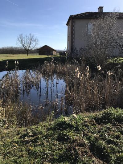 Image No.13-2 Bed Property for sale