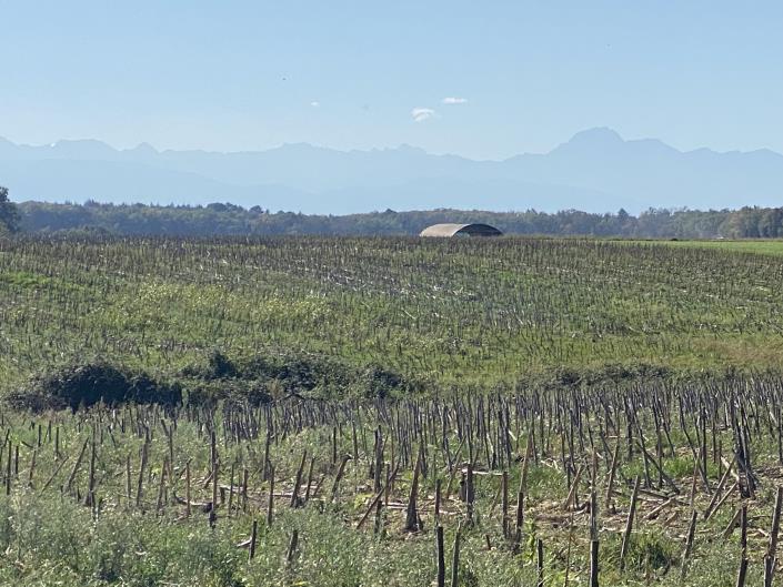 Image No.15-2 Bed Property for sale