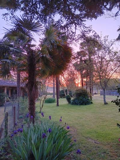 Image No.37-10 Bed Property for sale