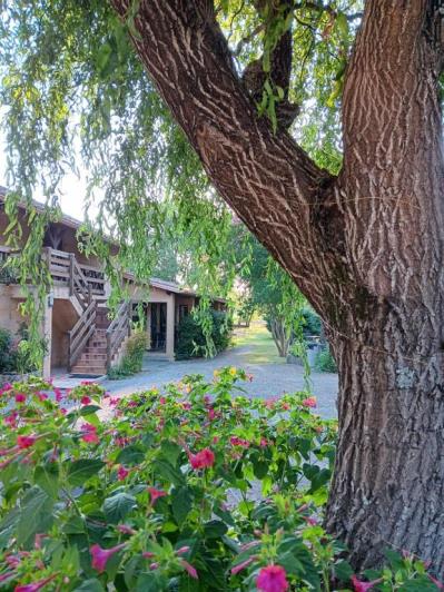 Image No.41-10 Bed Property for sale