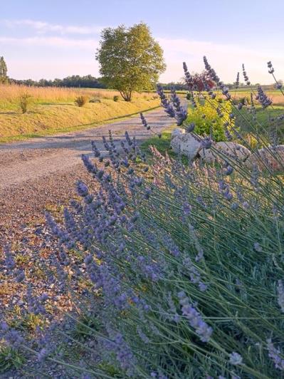 Image No.43-10 Bed Property for sale