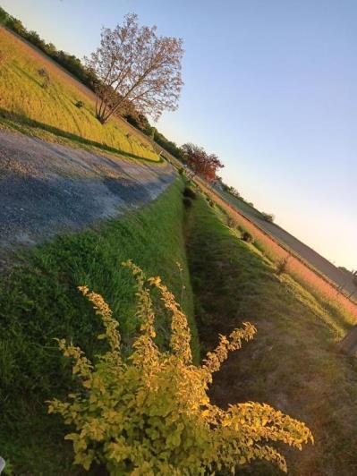 Image No.47-10 Bed Property for sale