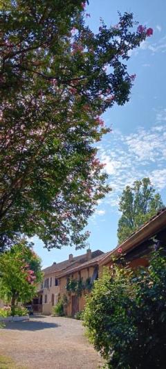 Image No.52-10 Bed Property for sale