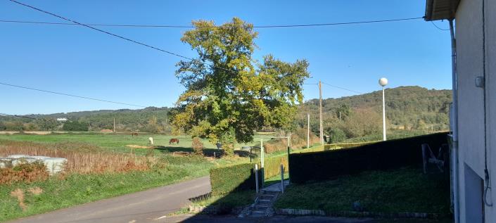 Image No.21-4 Bed House for sale