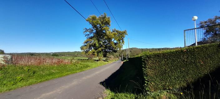 Image No.25-4 Bed House for sale