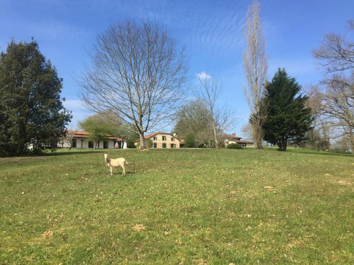 Image No.4-12 Bed Gite for sale