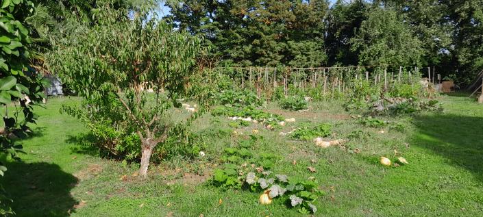 Image No.37-9 Bed Gite for sale