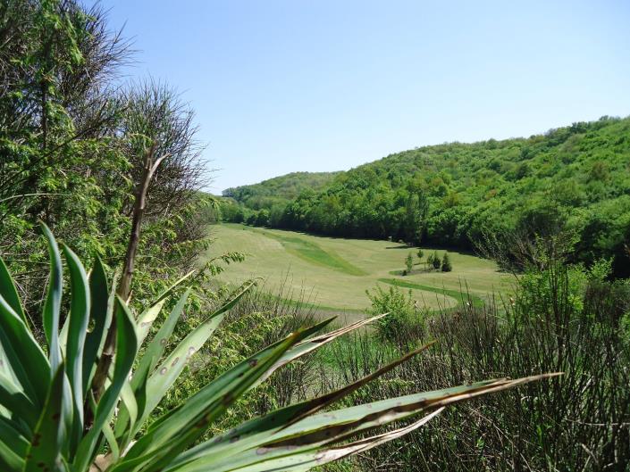 Image No.8-Country Property for sale