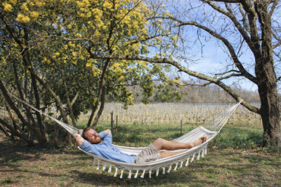 5e8d0aac-29b1-40c0-b682-1d73abde9d80