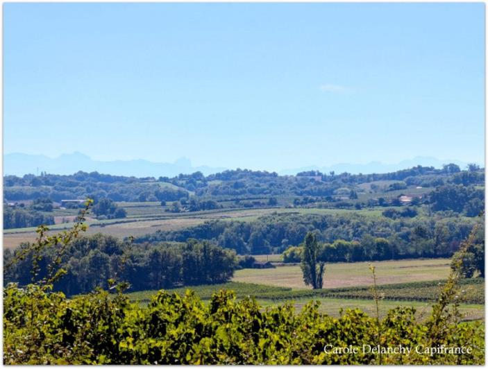 Image No.14-4 Bed Country House for sale