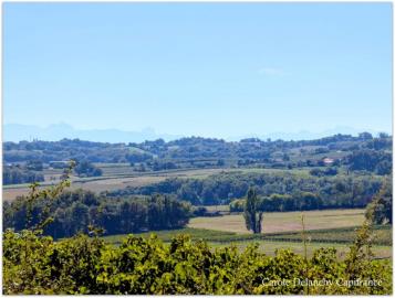 image_8f8d9e9a9d1c5de0dce7396aa623f1a5