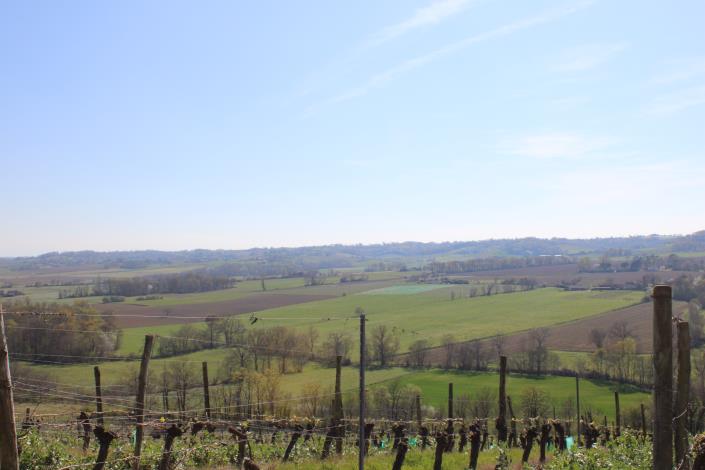 Image No.15-4 Bed Country House for sale