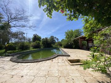 IMG_1817---Copie---Copie