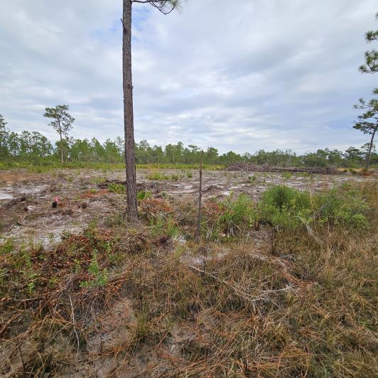 Image No.3-Terre à vendre à Indian Lake Estates