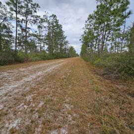 1 - Indian Lake Estates, Terre