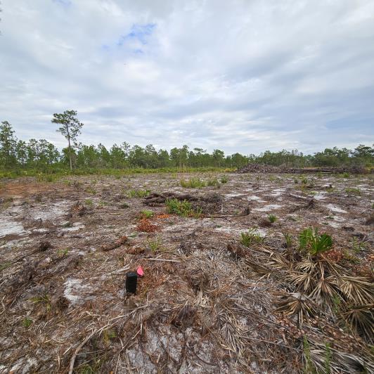 Image No.4-Terre à vendre à Indian Lake Estates