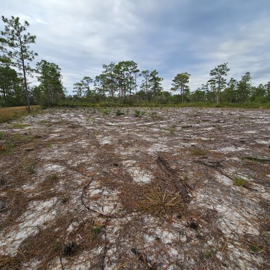 Image No.6-Terre à vendre à Indian Lake Estates