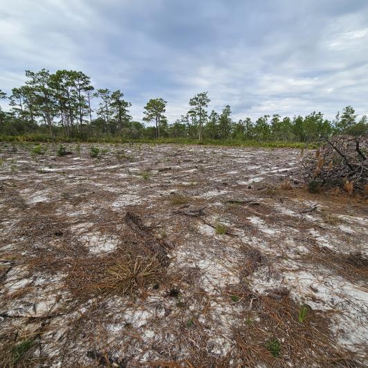 Image No.7-Terre à vendre à Indian Lake Estates