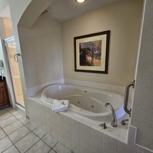 Image No.9-Un hôtel de 2 chambres à vendre à Lake Buena Vista