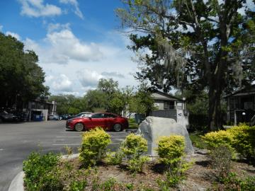 1 - Tampa, Apartment