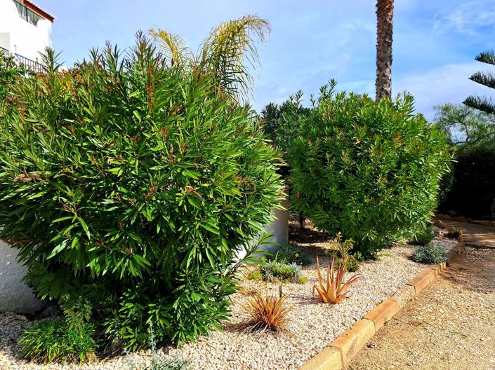 Image No.17-Maison de ville de 2 chambres à vendre à Praia da Luz