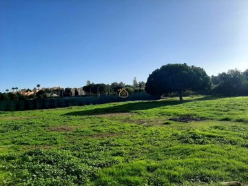 5018-600782-1397c7eacab77a8d4d14b0228a8f482d1