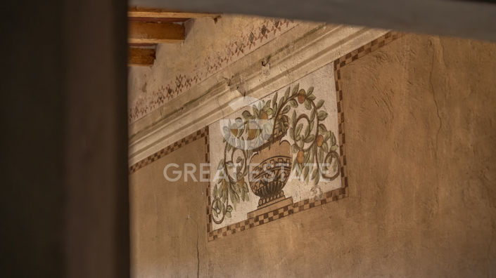 Image No.50-8 Bed Country House for sale