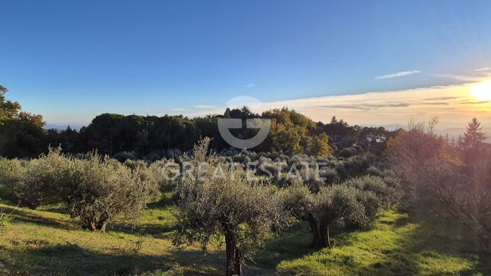 Image No.11-4 Bed Country House for sale