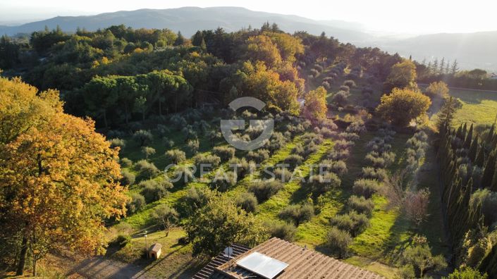 Image No.25-4 Bed Country House for sale