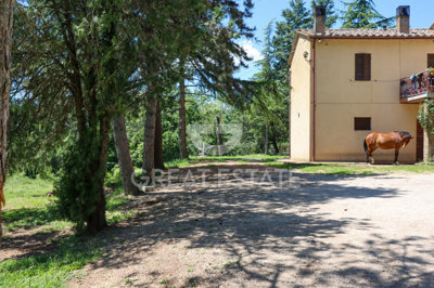 vendesi-castello-borgo-in-umbria-terni-montec