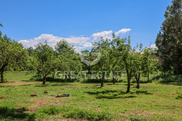 Image No.15-Chateaux for sale