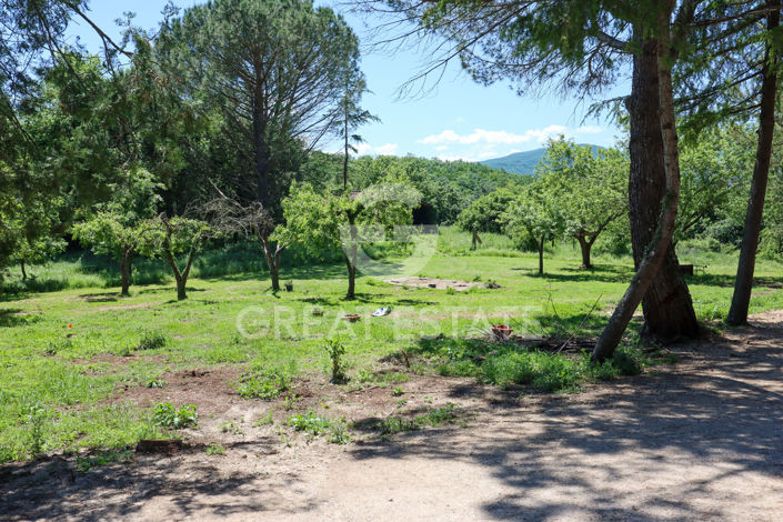 Image No.16-Chateaux for sale