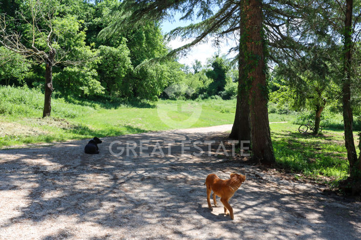 Image No.17-Chateaux for sale