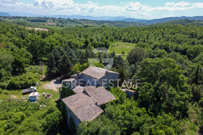 Image No.9-Chateaux for sale