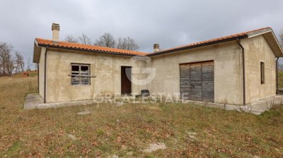 Photo_12