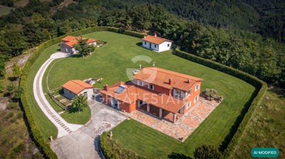 Photo_3