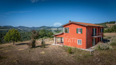 Photo_4