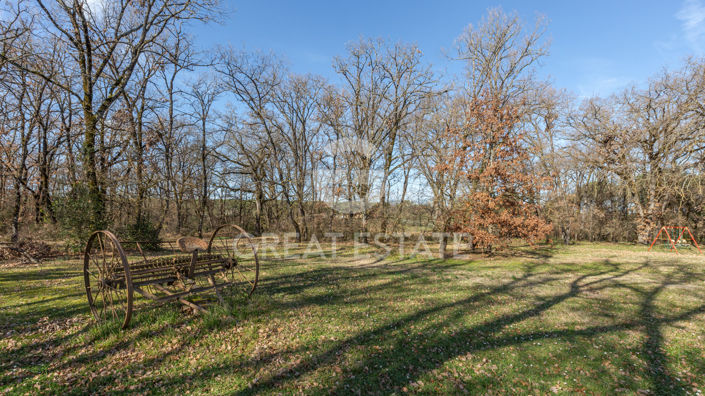 Image No.45-8 Bed Country House for sale