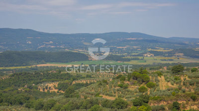 Photo_15