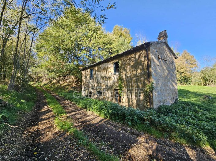 Image No.4-2 Bed Country House for sale