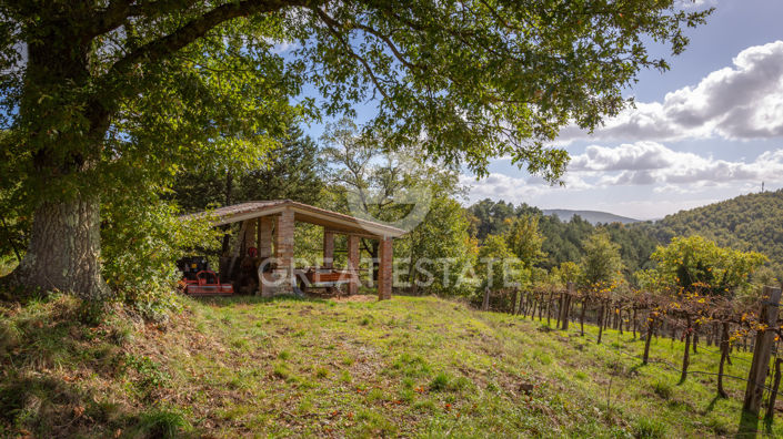 Image No.29-3 Bed Country House for sale