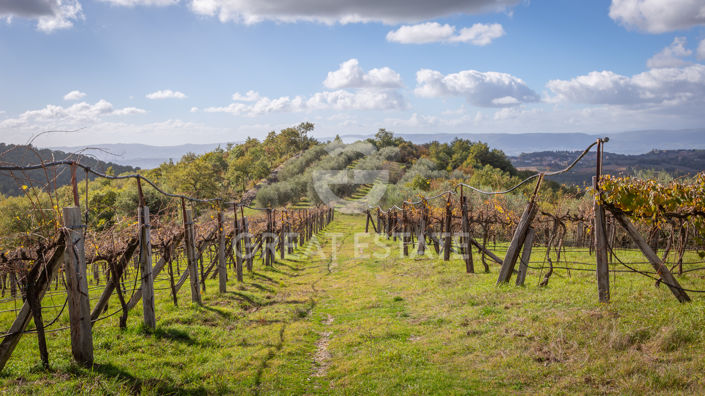 Image No.32-3 Bed Country House for sale